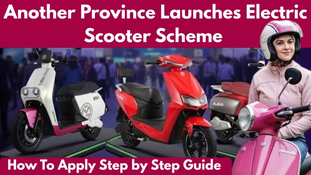 Electric Scooter Scheme