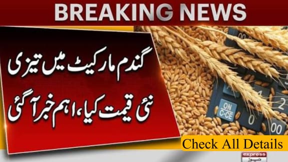 New Wheat Price Per Maund