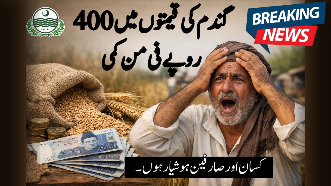 Wheat Price Drop by Rs. 400 per Maund
